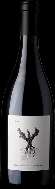 Image du produit Dominio de Pingus Psi by Pingus (1 x 75 cl, 2021)