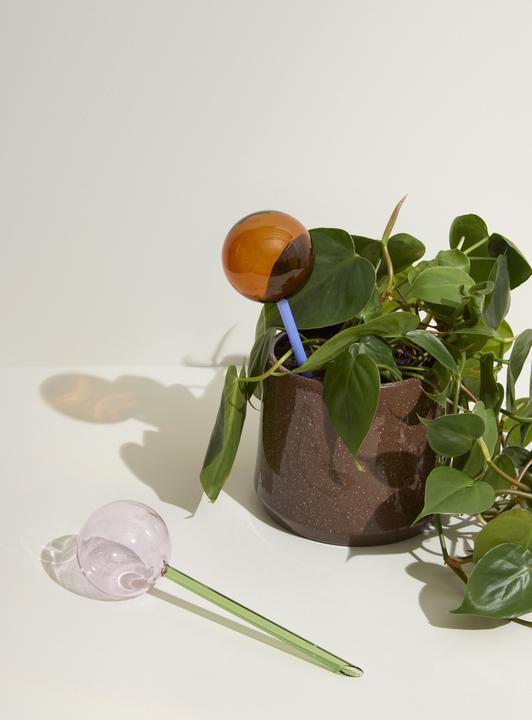 Immagine prodotto Hübsch Mappamondo Flora Aqua (Palline per l'irrigazione)