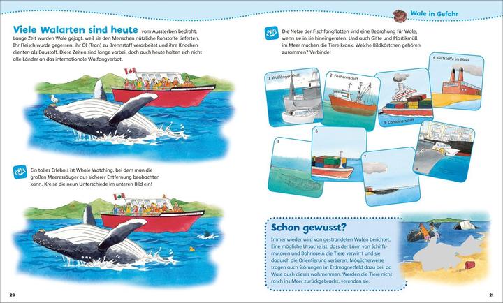 Actual product image Tessloff WAS IST WAS Junior activity booklet. Whales and dolphins. Games, puzzles, stickers