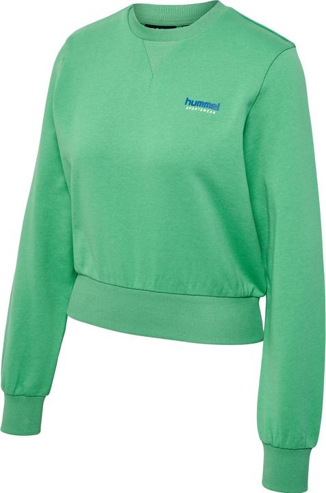 Actual product image hummel Hmllgc Shai Short Sweatshirt (XL)