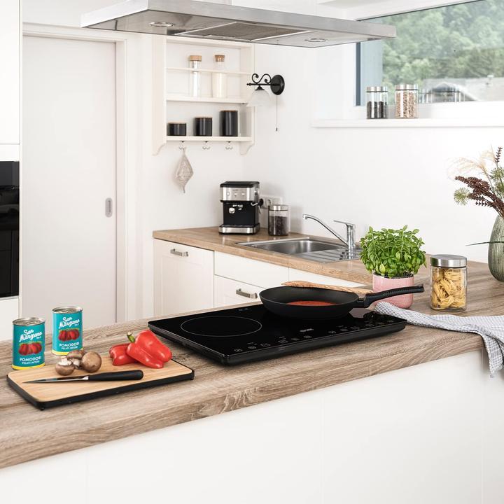 Actual product image TZS First Austria Induction hotplate