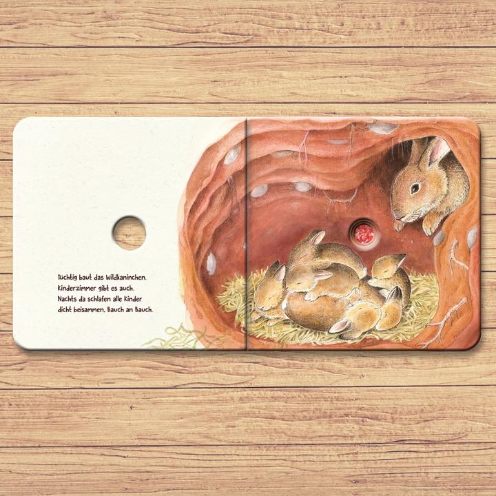 Actual product image Kosmos Guck mal unter die Erde (German, Regina Black, 2019)