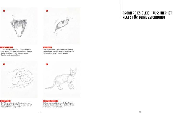 Image du produit Tiere zeichnen (2 Bücher im Bundle)