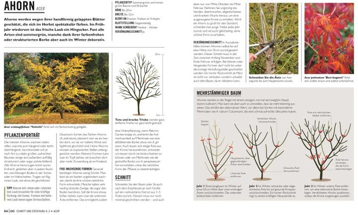 Immagine prodotto Grünes Gartenwissen. Pflanzen richtig schneiden (Tedesco, Stephanie Mahon, Reinhard Ferstl, Casa editrice DK, 2022)