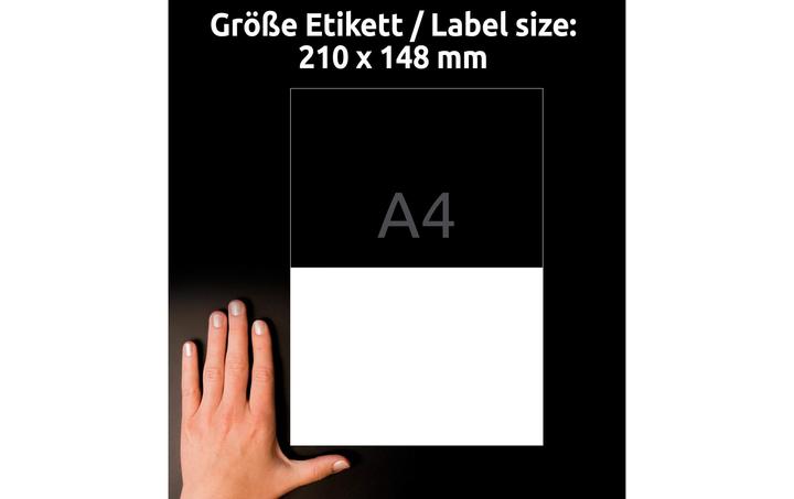 Image du produit Avery Étiquettes antimicrobiennes 210 x 148 mm, 10 feuilles, blanc