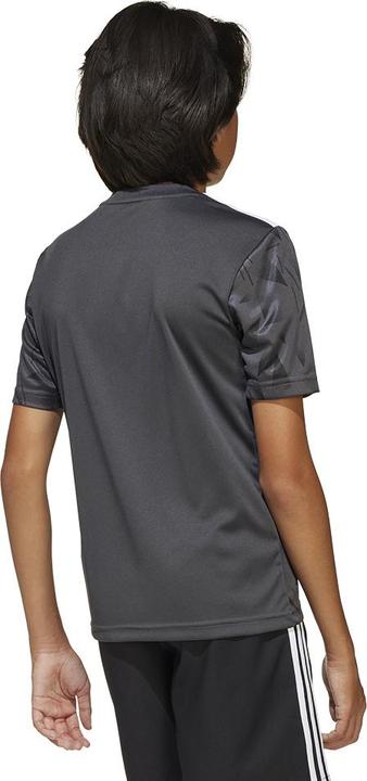Image du produit adidas Maillot Team Icon 25 Enfants (176)