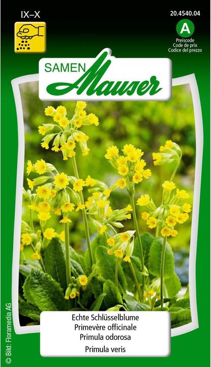 Samen Mauser Echte Schlüsselblume (Pflanzensamen)