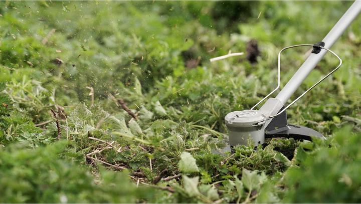 Actual product image Bosch Home & Garden AdvancedBrushCut 36V-23-750 (Trim line)