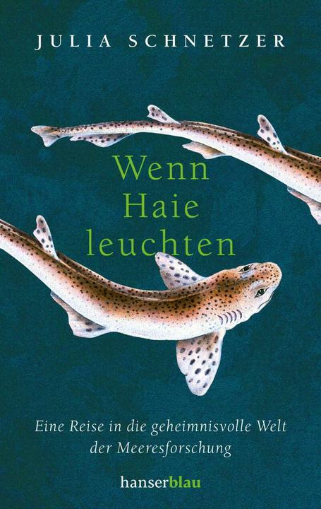 Produktbild Hanserblau Wenn Haie leuchten (Deutsch, Julia Schnetzer, 2022)