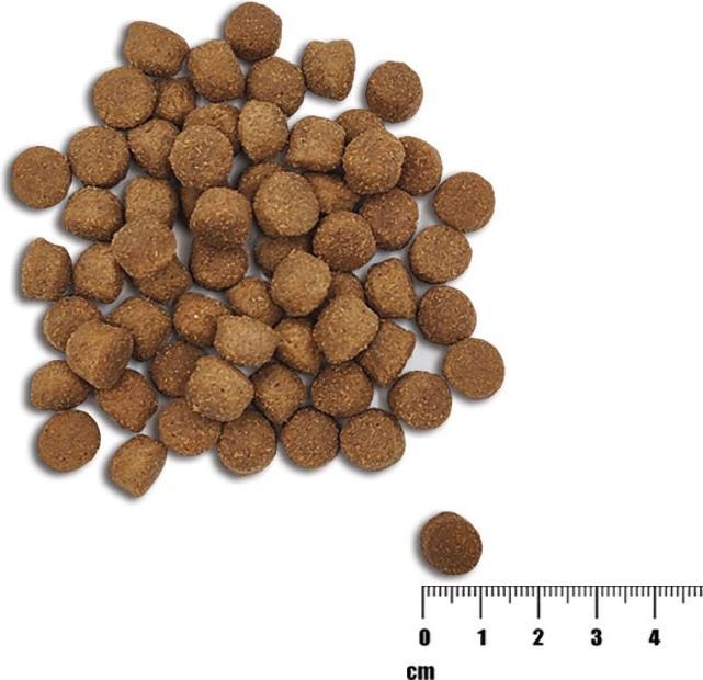 Actual product image Raw Paleo Healthy Grain Puppy Salmon & Barley (Puppy + kitten, 1 pcs., 2000 g)
