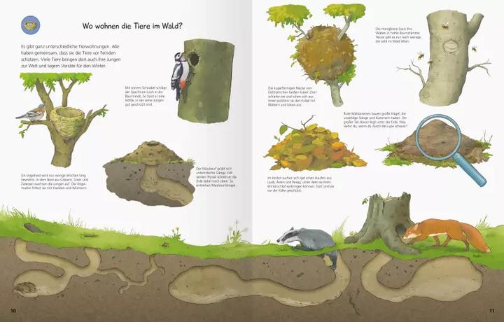 Image du produit Ravensburger Pourquoi? Pourquoi? Pourquoi? Cahier d'autocollants : Dans la forêt