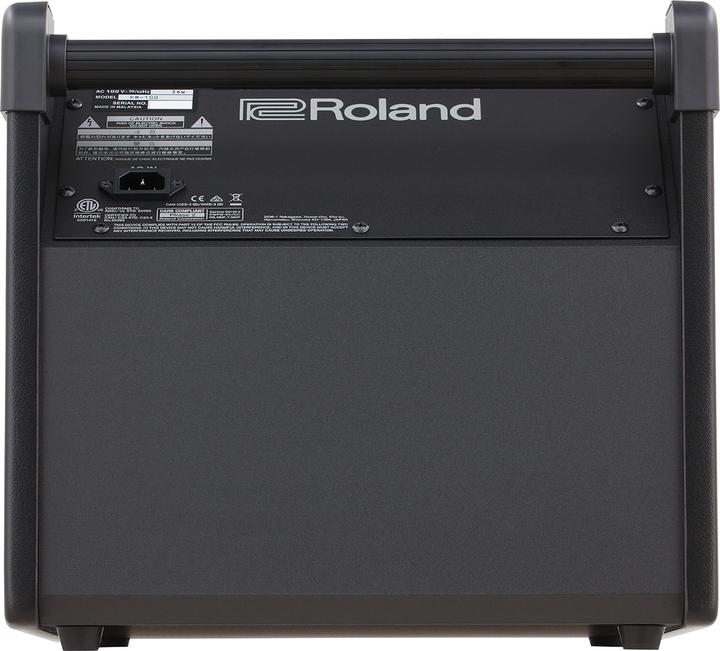 Actual product image Roland PM-100 Personal Monitor