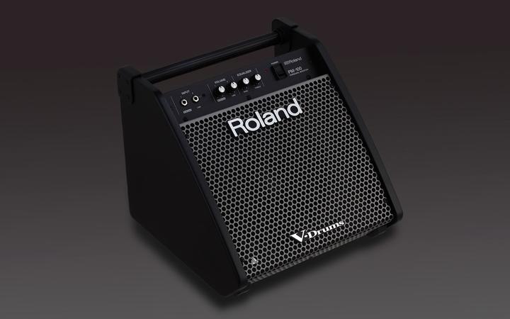 Actual product image Roland PM-100 Personal Monitor