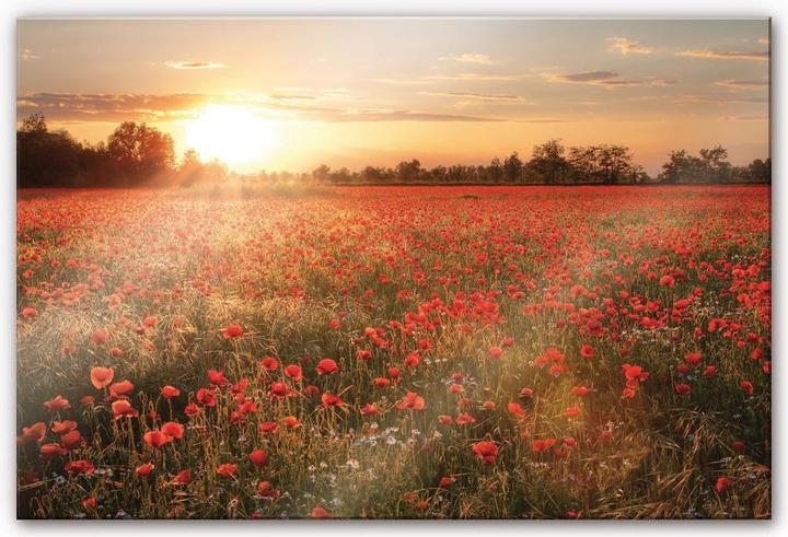 Actual product image Trenddeko Poppy field in sunset (60 x 40 cm)