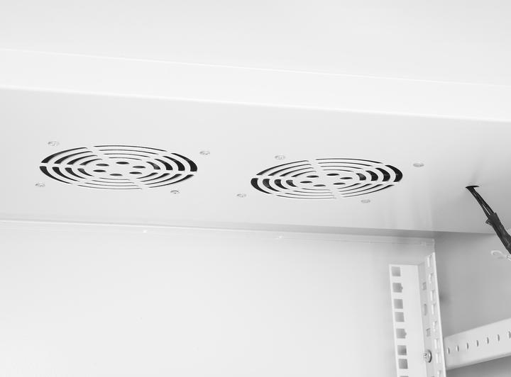 Actual product image Intellinet Industrial IP55 19" wall-mounted distributor with integrated fans, 6 U (6 RU, 19 inch rack)