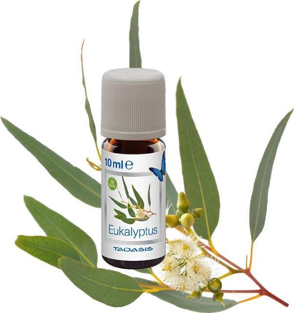 Produktbild Venta Bio-Duft Eukalyptus (3 x)