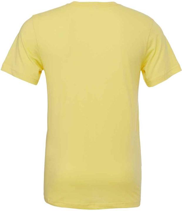 Image du produit Bella Canvas - T-shirt CVC - Adulte (L)