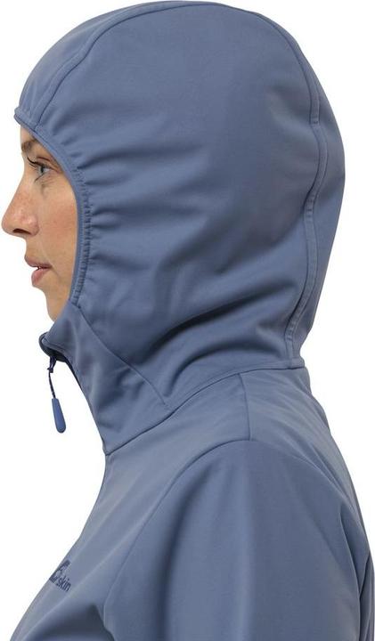 Image du produit Jack Wolfskin Feldberg Hoody W (XS)