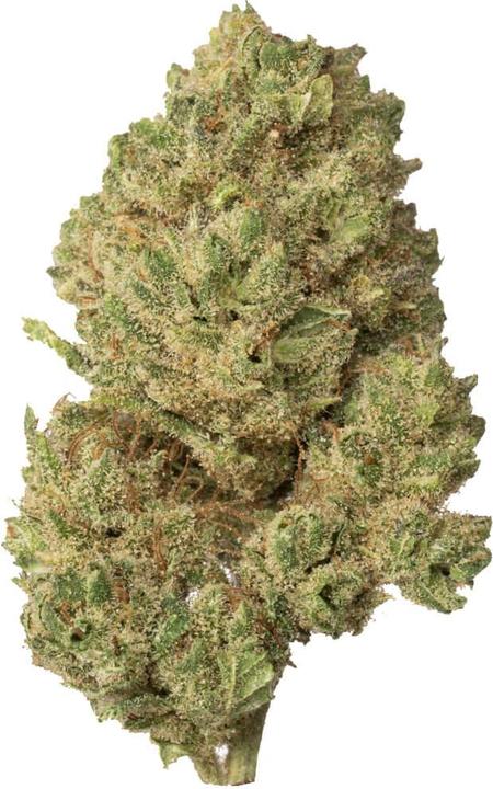 Immagine prodotto Hi Lab Silver Haze (4 g, Interno)
