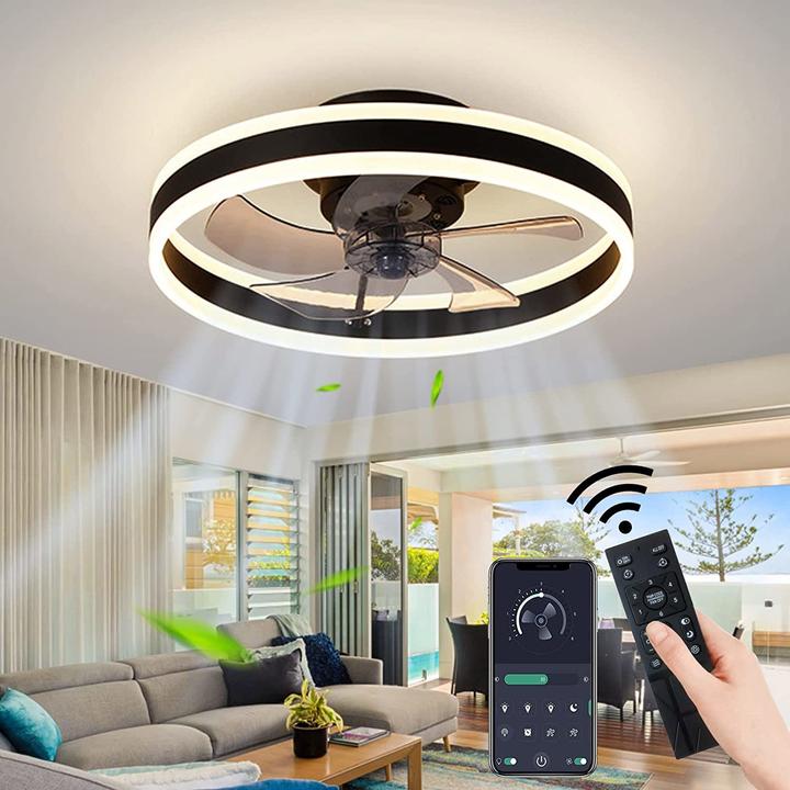 Actual product image Eidisuny Ceiling fan with lighting (28 dB)