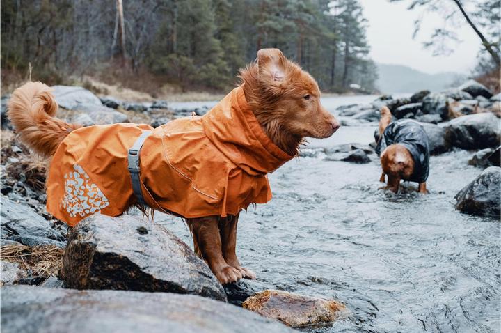 Actual product image Hurtta Raincoat Monsoon Coat (25, XS, Dog raincoat)