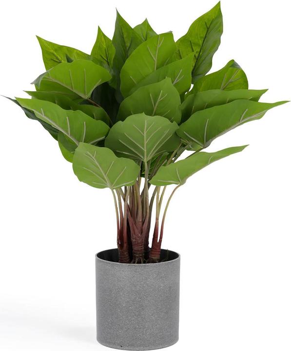 Produktbild Kave Home Anthurium (50 cm)