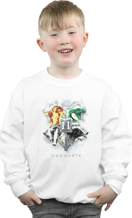 Produktbild Hogwarts Painted Crest Sweatshirt Jungen (140, 146)