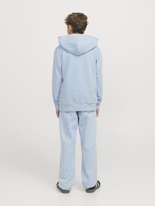 Produktbild Jack & Jones Jjecaleb Varsity Sweat Hood Noos Jnr (164)