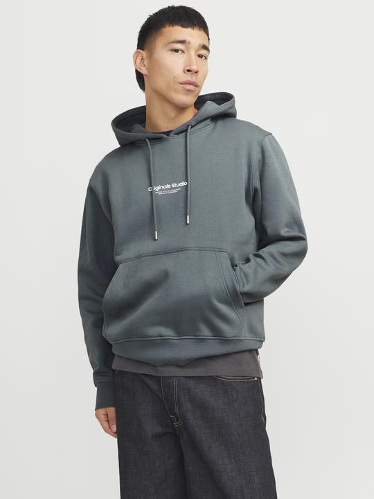 Actual product image Jack & Jones Printed hooded sweatshirt Hooded sweatshirt (M)