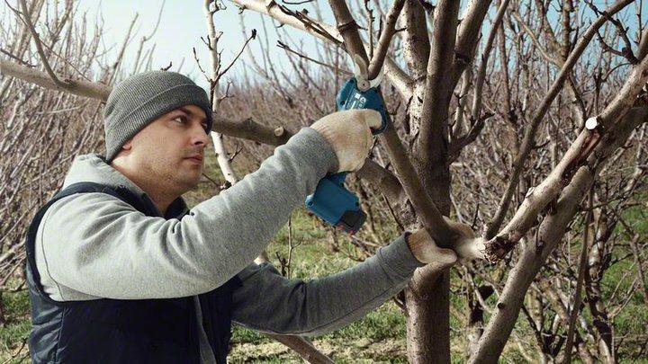 Produktbild Bosch Professional Pro Pruner