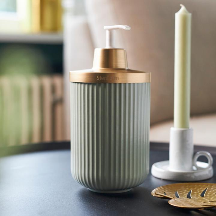 Immagine prodotto Sterillium Protect & Care Emma