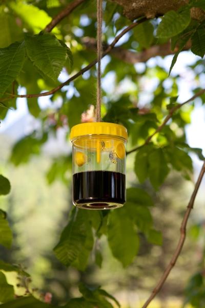 Produktbild Windhager Wespenfalle