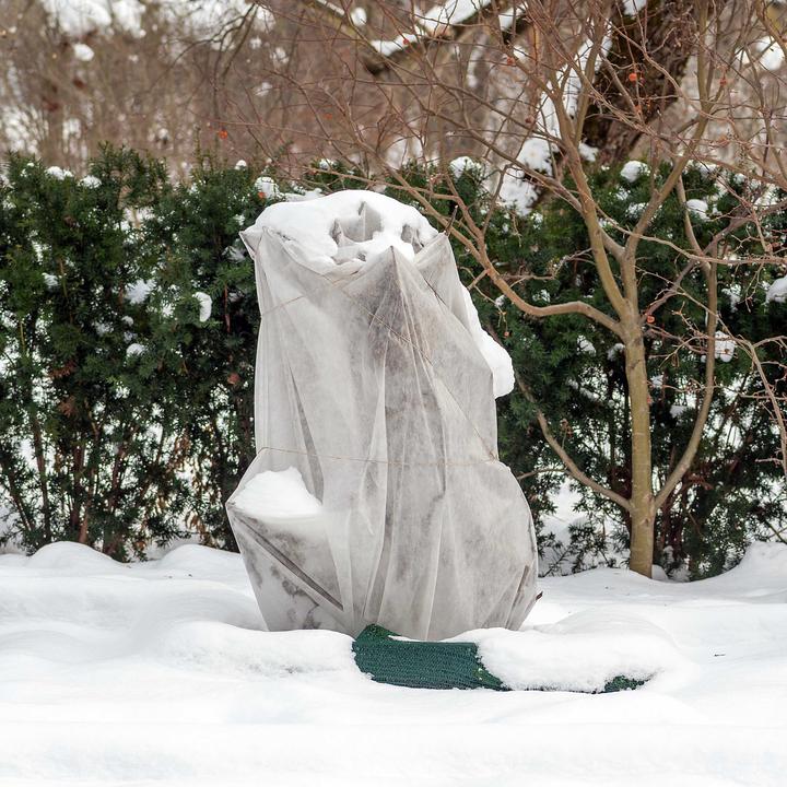Produktbild Toboli 2x Winterschutz Pflanzen 80x100cm 70g/m² Frostschutz Vlies Schutzhaube