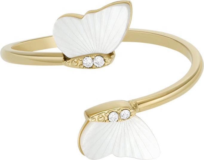 Produktbild Fossil Radiant Wings (49)