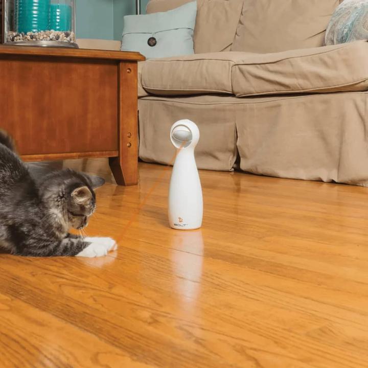 Actual product image PetSafe Bolt (Catmint toy)