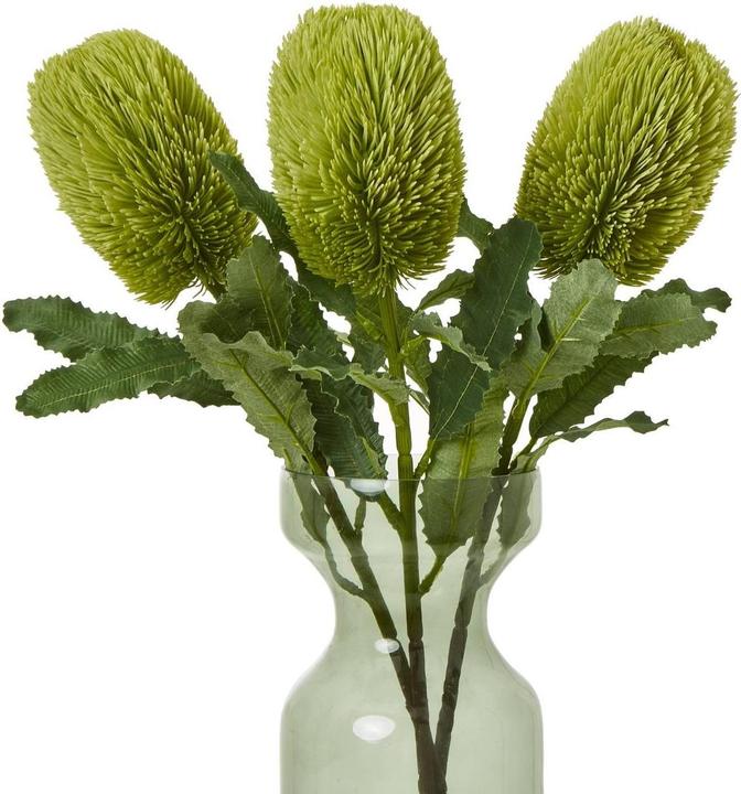 Image du produit Hill Interiors Kunstblume (65 cm)