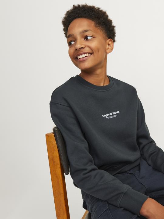 Actual product image Jack & Jones Jorvesterbro Sweat Crew Neck Bn Mni (110)