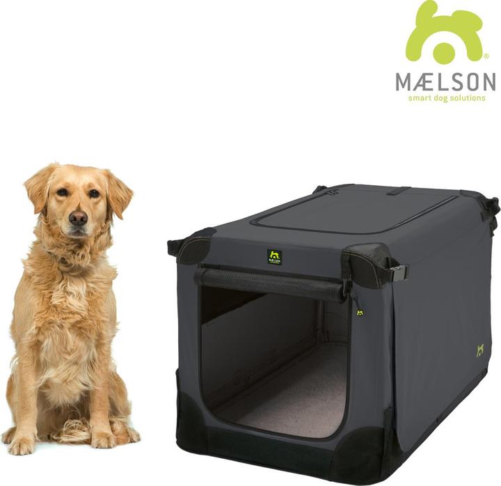 Maelson Transportbox
