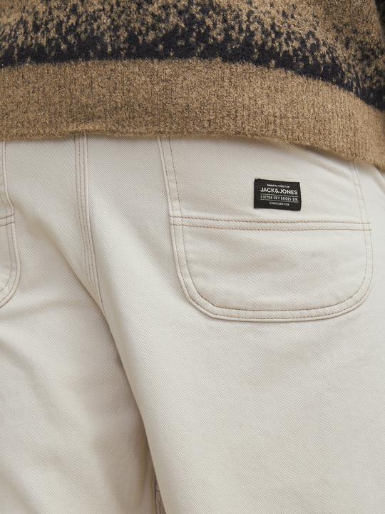 Actual product image Jack & Jones Jpstowen Contrast Panel Pants Sn (W34/L30)