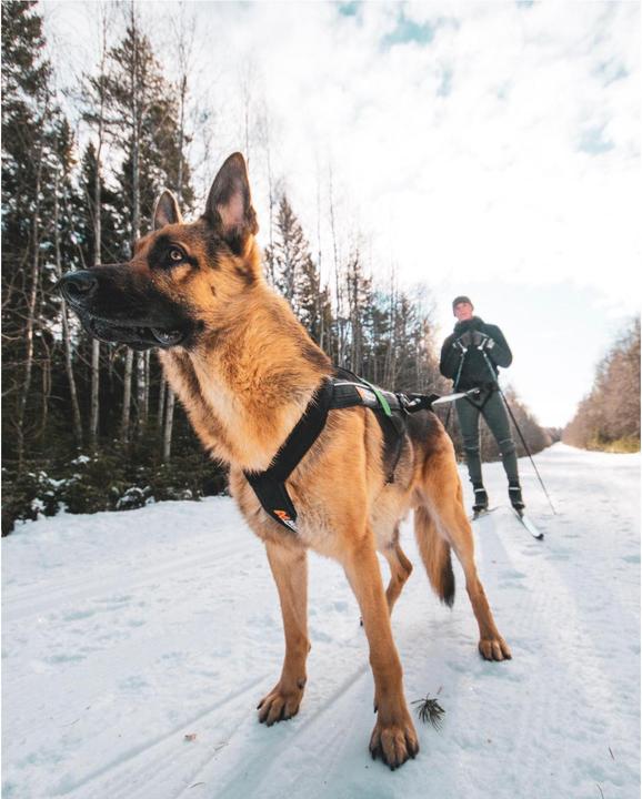 Produktbild Non-Stop Dogwear Freemotion Harness (10, Hund, Allgemein)