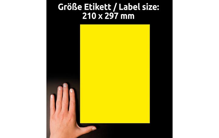 Actual product image Avery Labels in special colours