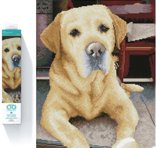 Actual product image Diamond Dotz Squares Original Diamond Painting Set Labrador "KING" 40 x 50 cm, 28,200 square