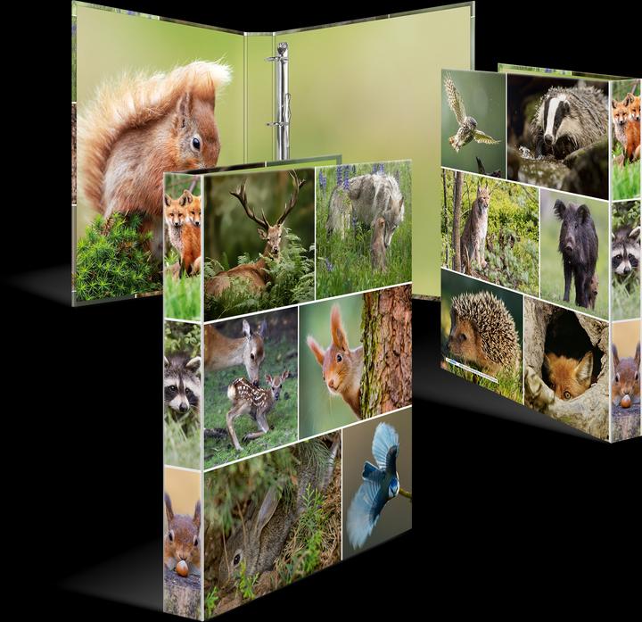 Actual product image Herma A4 ring binder motif (A4, 35 mm, 1 Piece)