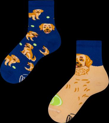 Image du produit Many Mornings Golden Boy (Une unité par pack, 27 - 30)