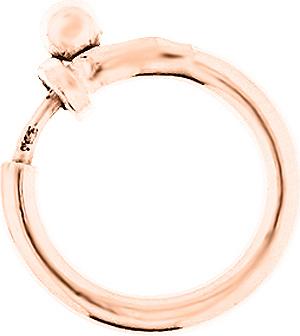Image du produit Leyda Fermoir Anneau Ressort (plaqué or 750 / 18 K, Argent 925)