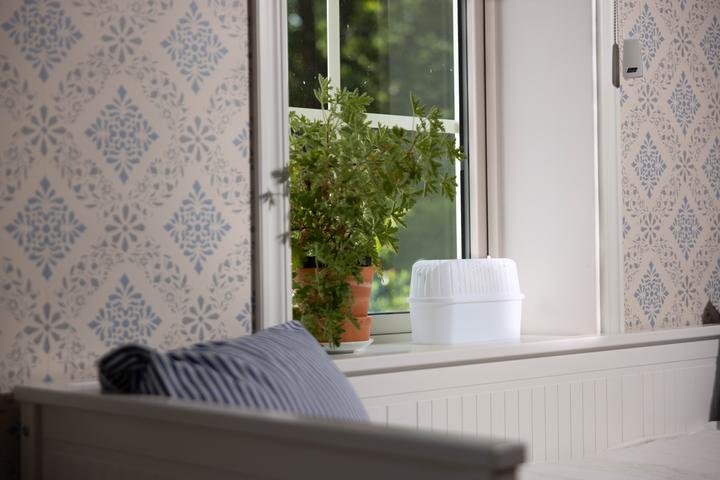 Actual product image Absodry Mini Compcat 1 dehumidifier (30 m²)