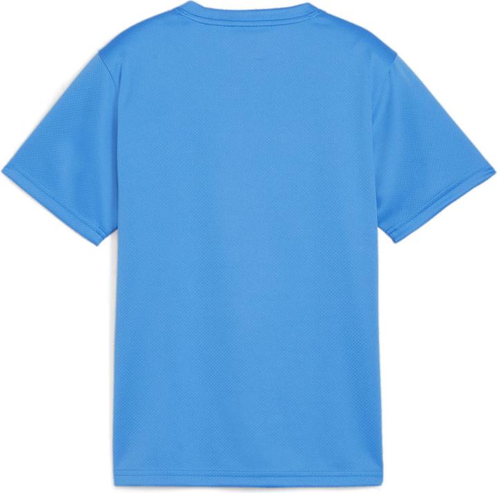 Immagine prodotto Puma Maglia TeamGOAL Jr (164)