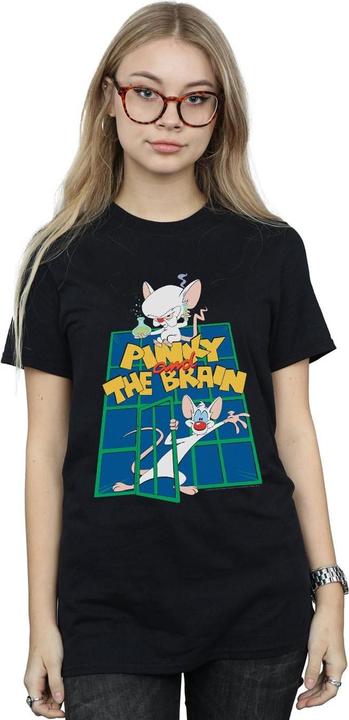 Actual product image Universal Textiles Womens/Ladies Pinky And The Brain Laboratory Cotton Boyfriend T-Shirt (XXL)