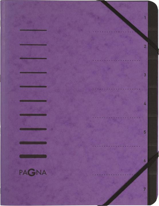 Immagine prodotto Pagna 40058-10 Registro a schede Melanzana (A4, 1 x)