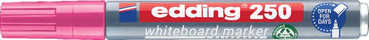 Immagine prodotto Edding 250 (Rosa, 3 mm, 1 x)